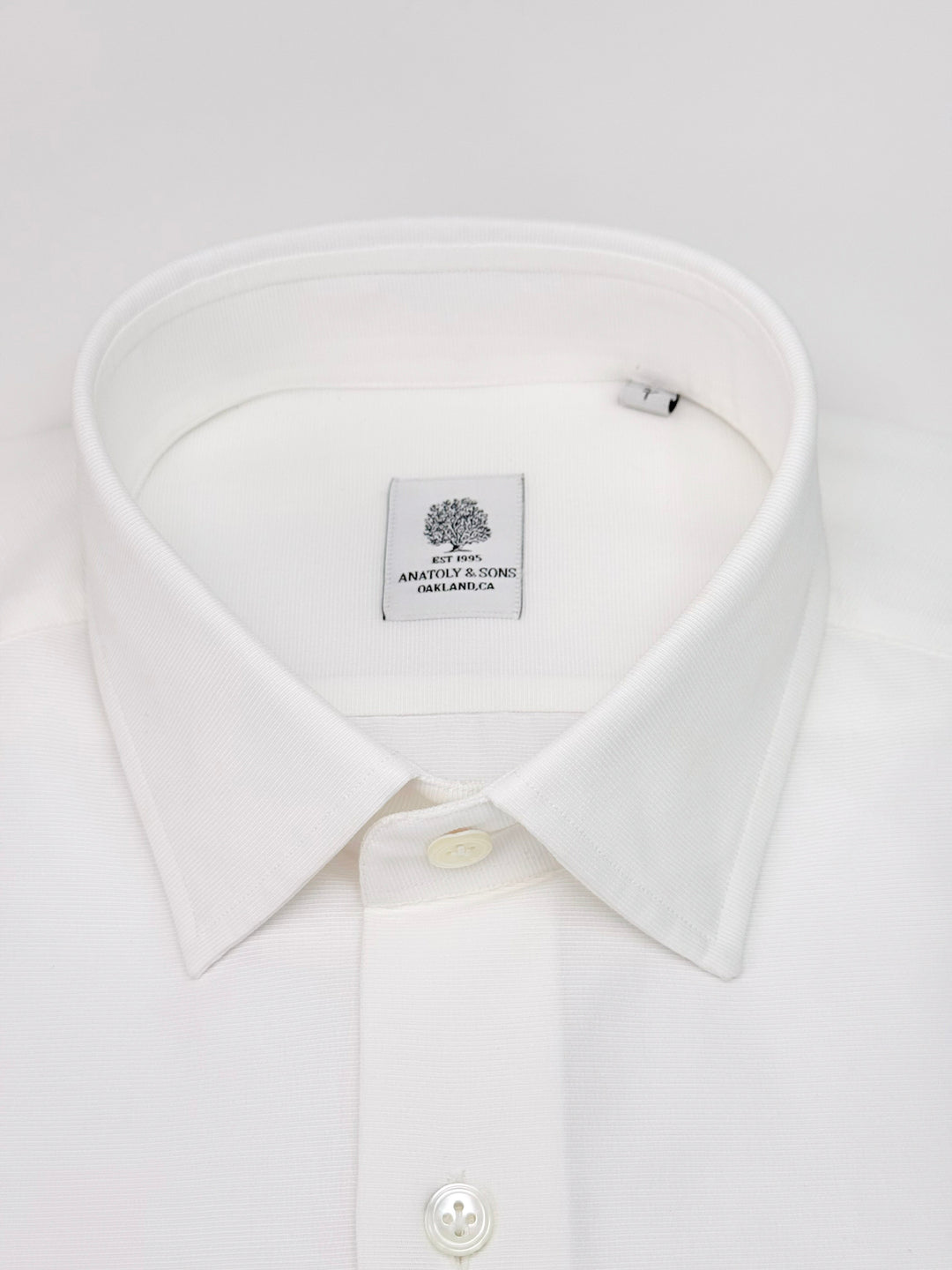 Cotton Horizontal Twill Dress Shirt - White