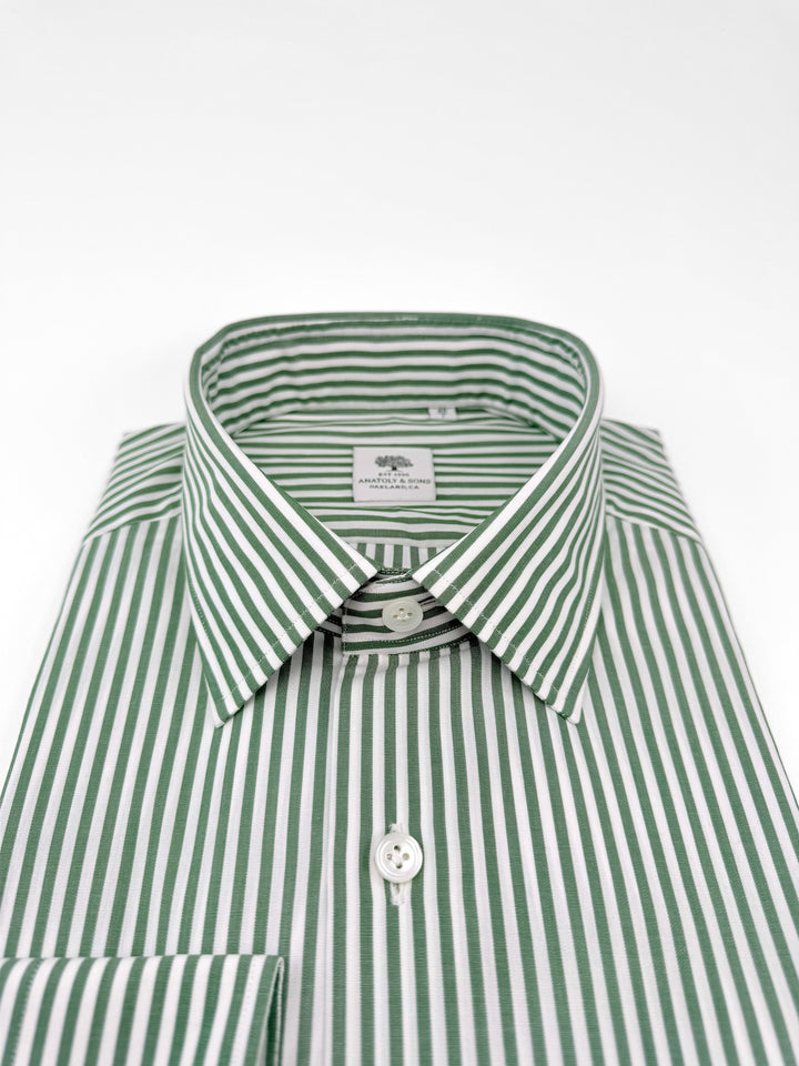 Bold Stripe Cotton Dress Shirt - Pine Green