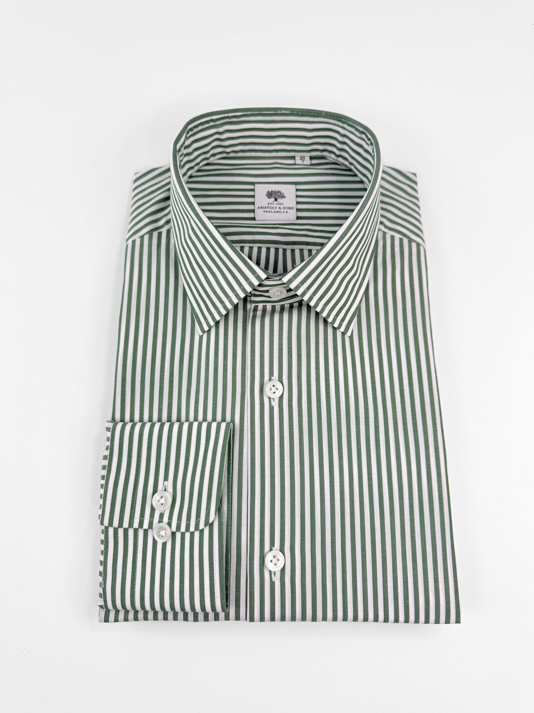 Bold Stripe Cotton Dress Shirt - Pine Green